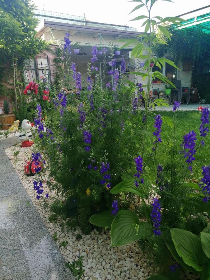 Uspinjaca Daire Saraybosna Dış mekan fotoğraf